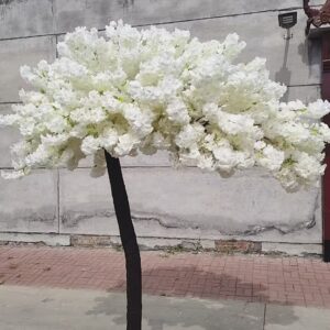 Home white leaf arch